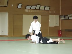 平成二十七年度名大祭演武会